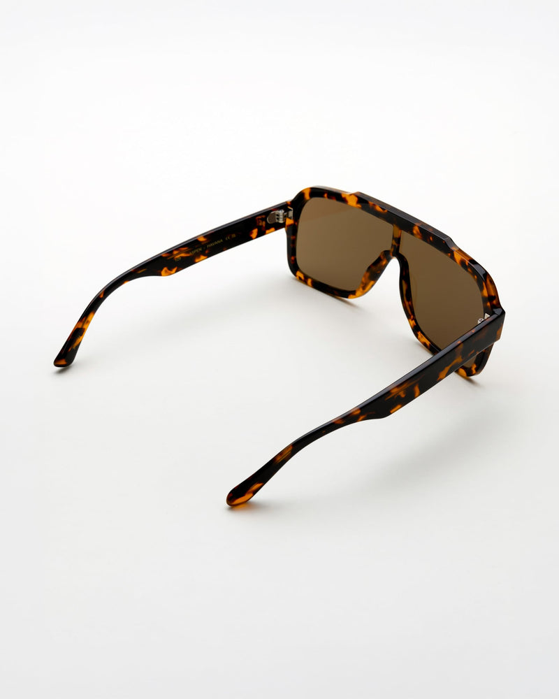 Aspen Havana - brown solid lens
