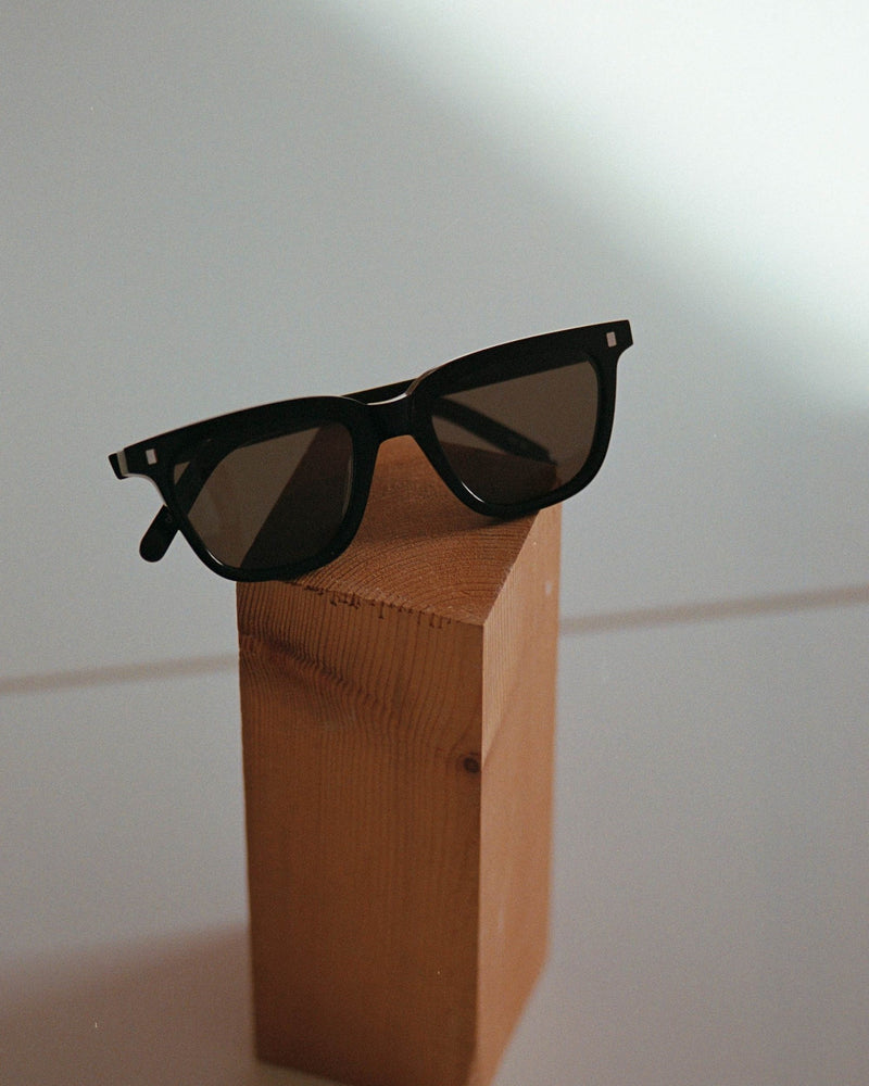 Robotnik Black - grey solid lens