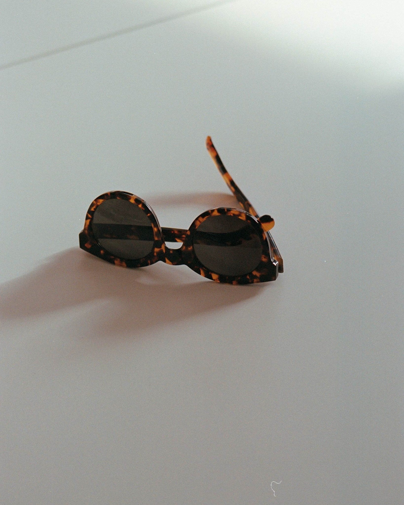 Shiro Havana - grey solid lens