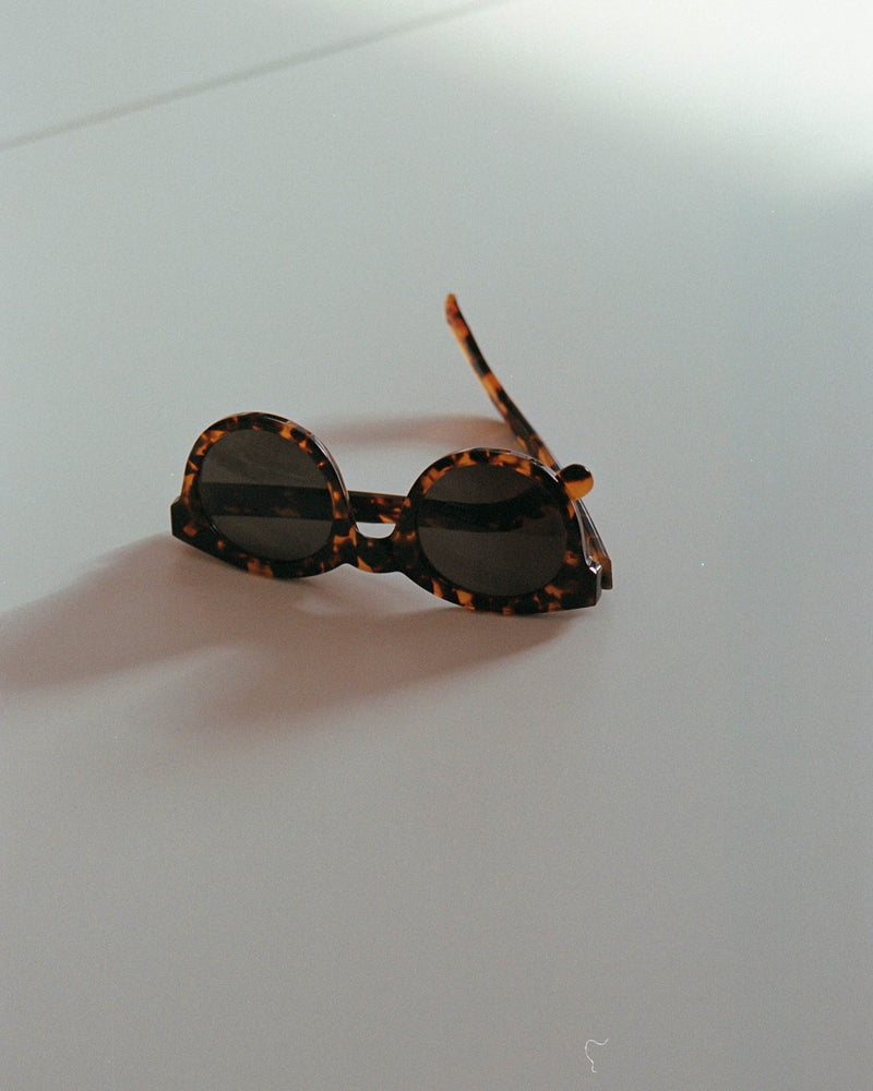 Shiro Havana - grey solid lens